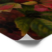 Sonne durch Herbstblätter, Kroatien Poster (Ecke)