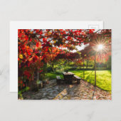Sonne durch Herbstblätter, Kroatien Postkarte (Vorne/Hinten)