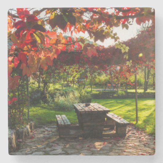 Sonne durch Herbstblätter, Kroatien Steinuntersetzer (Vorderseite)