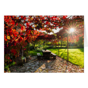 Sonne durch Herbstlaub, Kroatien
