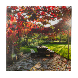 Sonne durch Herbstlaub, Kroatien Fliese
