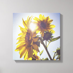 Sonne hinter den Sonnenblumen Leinwanddruck