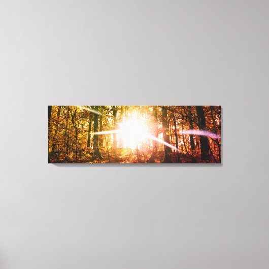 Sonne im Herbstwald Leinwanddruck (Vorderseite)