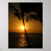 Sonne in den Bäumen, Abstieg Poster (Vorne)