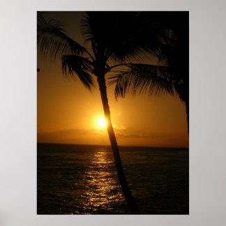 Sonne in den Bäumen, Abstieg Poster