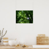 Sonne in den Bäumen Poster (Küche)