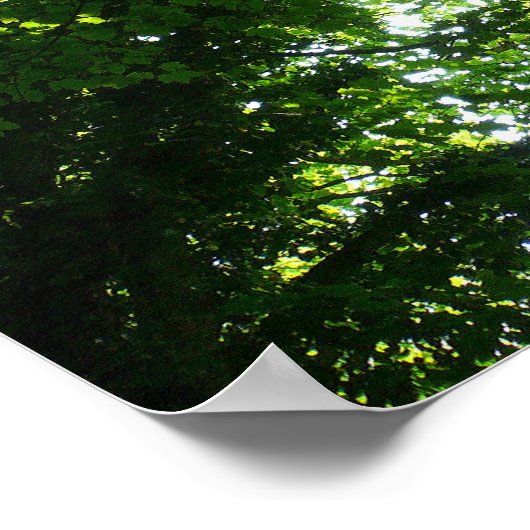 Sonne in den Bäumen Poster (Ecke)