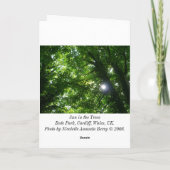 Sonne in den Bäumen - Vertikal Karte (Rückseite)