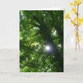 Sonne in den Bäumen - Vertikal Karte (Gelbe Blume)