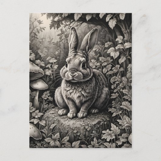 Sonne in einem Pilzgarten Postkarte (Vorderseite)