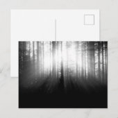 Sonne strahlt durch Bäume im Wald Postkarte (Vorne/Hinten)