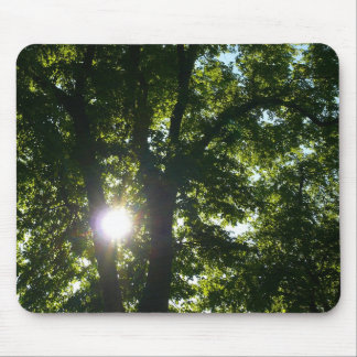 Sonne strahlt durch Bäume Mousepad