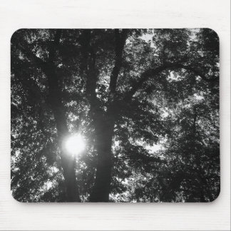 Sonne strahlt durch Bäume Mousepad