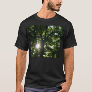Sonne strahlt durch Bäume T-Shirt