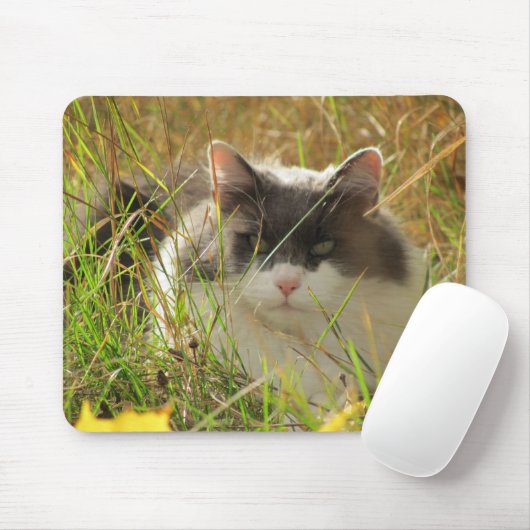 Sonne tanken. mousepad (Mit Mouse)