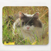 Sonne tanken. mousepad (Vorne)