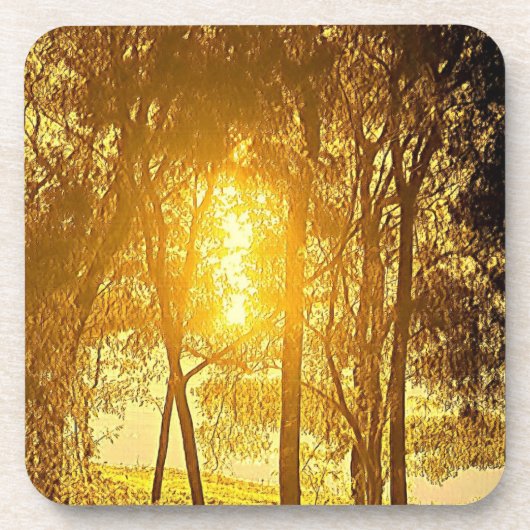 Sonne und Bäume Getränkeuntersetzer (Vorderseite)