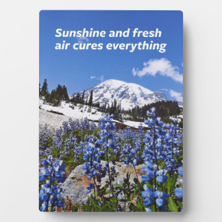 Sonne und frische Luft Fotoplatte