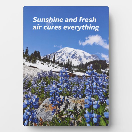 Sonne und frische Luft Fotoplatte (Vorderseite)