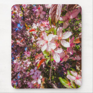 Sonne und Wolken Die Natur blüht Herz in Blume Mousepad