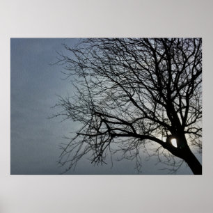 Sonne versteckt sich poster