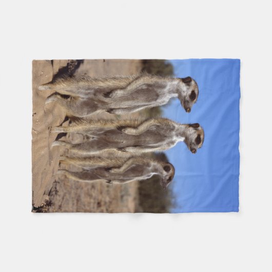 Sonnen der Meerkats Fleece-Decke Fleecedecke (Vorderseite (Horizontal))