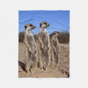 Sonnen der Meerkats Fleece-Decke Fleecedecke