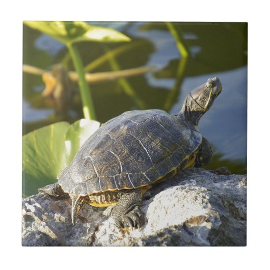 Sonnen Fliese (Vorderseite)