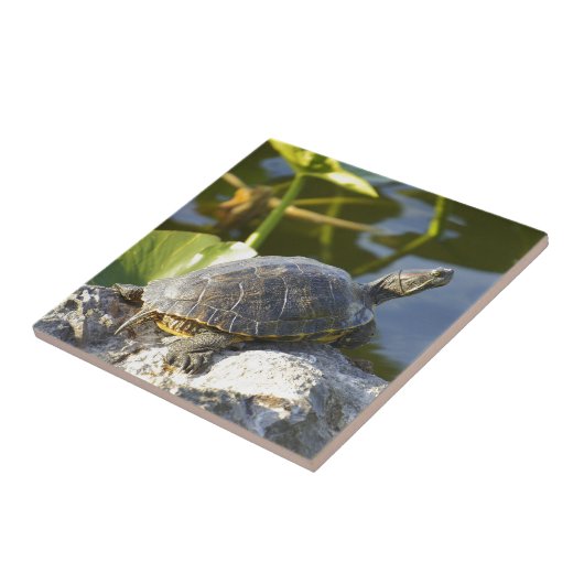 Sonnen Fliese (Seite)