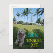 SONNEN HERAUS LECKT OUT2 AUF ANKÜNDIGUNGSPOSTKARTE (Vorne/Hinten)