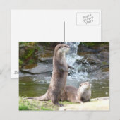 Sonnen Postkarte (Vorne/Hinten)
