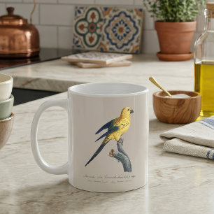 Sonnenaratinga oder Sonnensittich Aratinga solstit Kaffeetasse