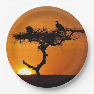 Sonnenaufgang am Masai Mara, Kenia Pappteller