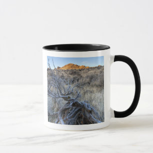 Sonnenaufgang am Squaw Creek, Owyhee County, ID Tasse
