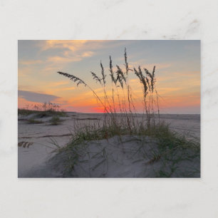 Sonnenaufgang am Strand - Leben auf der Küsteninse Postkarte