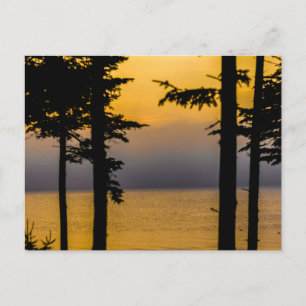 Sonnenaufgang an der Gouldsboro Bay, Maine Postkarte