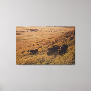 Sonnenaufgang auf Bison Leinwanddruck