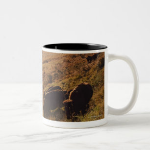 Sonnenaufgang auf Bison Zweifarbige Tasse
