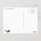 Sonnenaufgang auf dem Weg zum Dolcefarniente Postkarte (Rückseite)