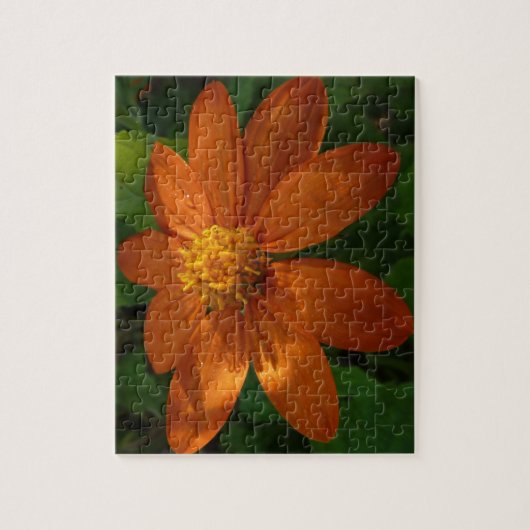 Sonnenaufgang auf der mexikanischen Sonnenblume Or Puzzle (Vertikal)