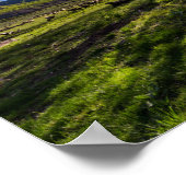 Sonnenaufgang auf einer Weide voller Schafe Poster (Ecke)