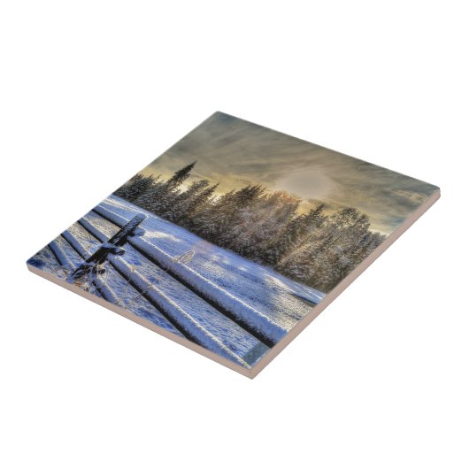 Sonnenaufgang auf einer Winterweide im Schnee Fliese (Seite)