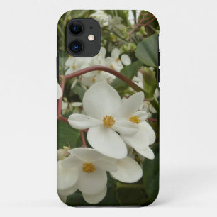 Sonnenaufgang auf orangefarbener Blüte der Mexikan iPhone 11 Hülle
