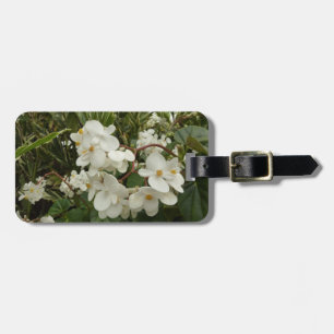 Sonnenaufgang auf orangefarbener Blüte der Mexikan Gepäckanhänger