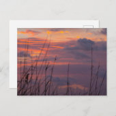 Sonnenaufgang bei Fort Pierce, Florida Postkarte (Vorne/Hinten)