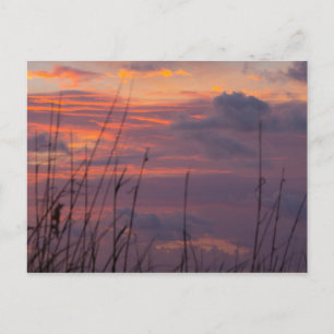 Sonnenaufgang bei Fort Pierce, Florida Postkarte