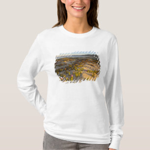 Sonnenaufgang beleuchtet die Sanddünen und Feigenk T-Shirt