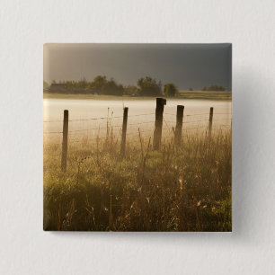 Sonnenaufgang beleuchtet Nebel entlang Zaun nahe Button