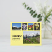 Sonnenaufgang (Berg Rainier) Collage 2 Postkarte (Stehend Vorderseite)