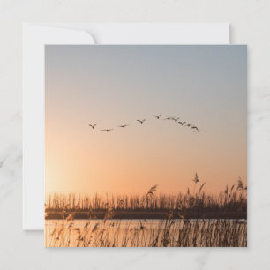 Sonnenaufgang Birds Nature Foto-Karte